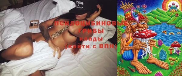 ПСИЛОЦИБИНОВЫЕ ГРИБЫ Арсеньев