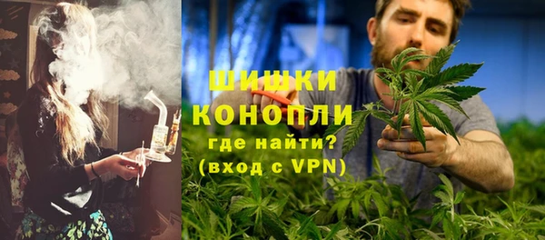 ПСИЛОЦИБИНОВЫЕ ГРИБЫ Арсеньев