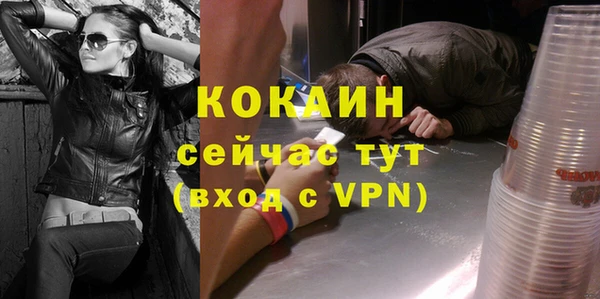 ПСИЛОЦИБИНОВЫЕ ГРИБЫ Арсеньев
