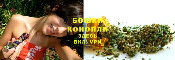ПСИЛОЦИБИНОВЫЕ ГРИБЫ Арсеньев